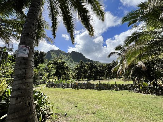 Keneke's Grill at Punaluu by null