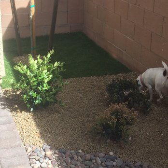 Dream Lawns - Artificial Turf Near Me