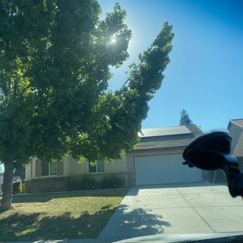 Carlos Tree Service - Branches falling over. - Tree Services Near Me