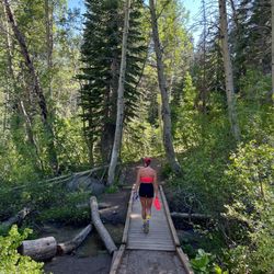 Incline Flume Trailhead - Crossing