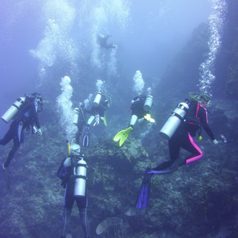 Project Scuba - Divecations - Travel with Us - Swimming Lessons/Schools Near Me - Killeen, Texas Project Scuba - Divecations - Travel with Us - Swimming Lessons/Schools Near Me - Killeen, Texas