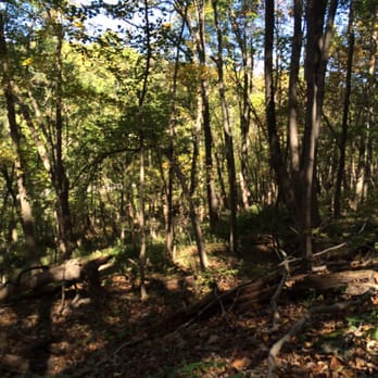 Bender Mountain Preserve - Hiking Near Me - Cincinnati, Ohio
