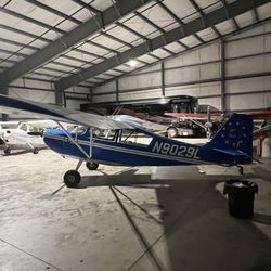 Tailwheel Adventures - Aircraft Hangar