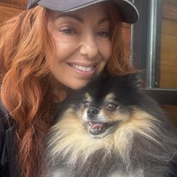 Mercer Island Veterinary Clinic