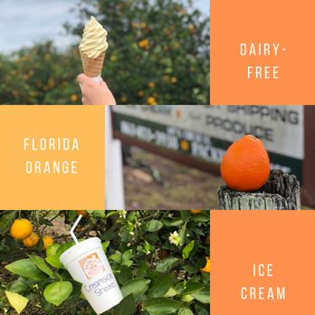 Maxwell Groves Country Store - Dairy-Free Ice Cream & Shakes - Ice Cream & Frozen Yogurt Near Me - Avon Park, Florida Maxwell Groves Country Store - Dairy-Free Ice Cream & Shakes - Ice Cream & Frozen Yogurt Near Me - Avon Park, Florida