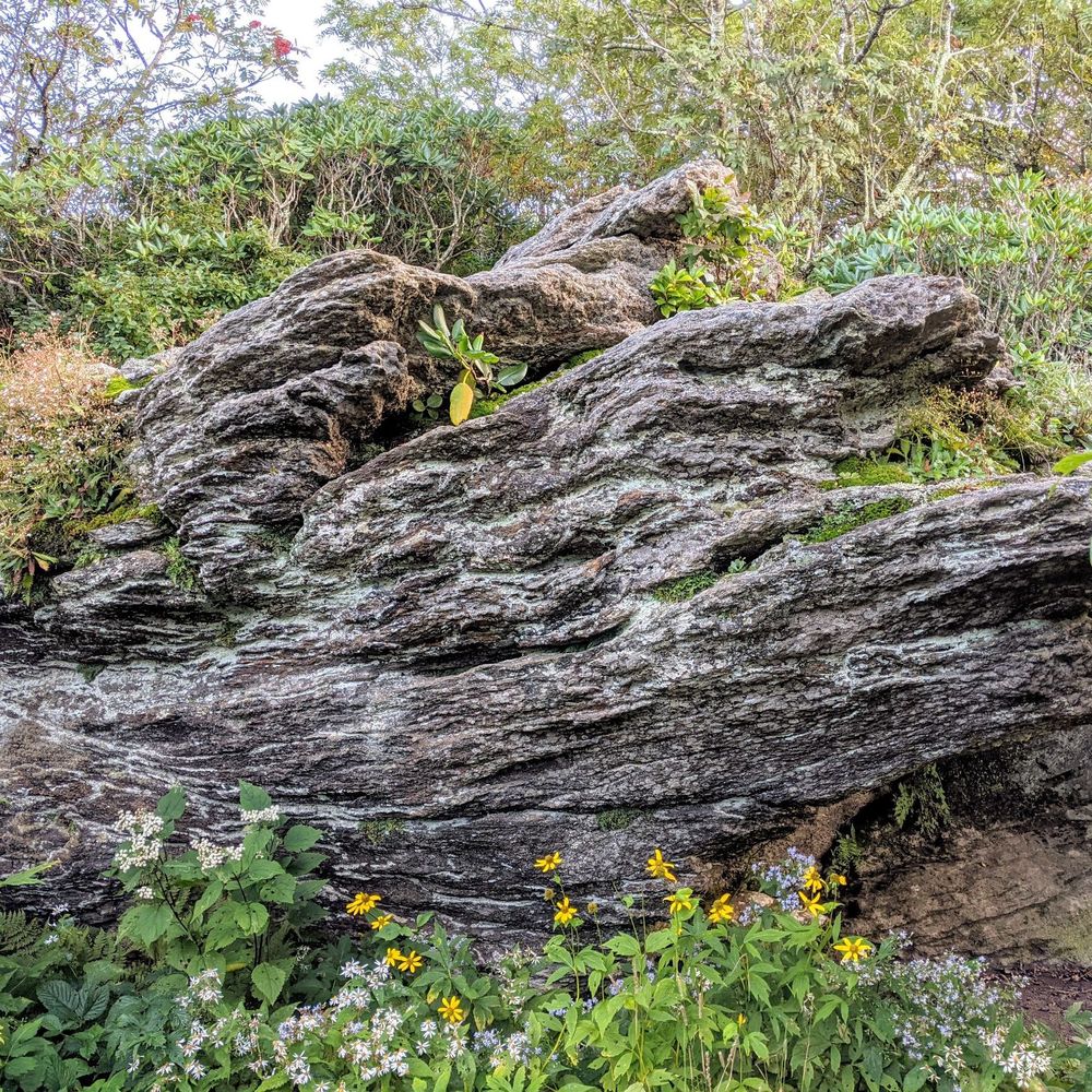 Craggy Gardens - Craggy Pinnacle | Instagram: @telephonesmoothie - Hiking Near Me - Black Mountain, North Carolina Craggy Gardens - Craggy Pinnacle | Instagram: @telephonesmoothie - Hiking Near Me - Black Mountain, North Carolina