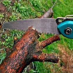 Puckett's Tree Service