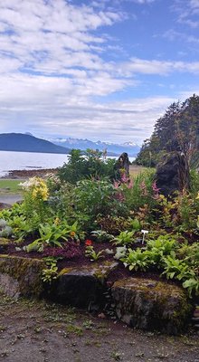 National Shrine of St. Thérèse by null