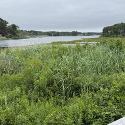 The view from the deck