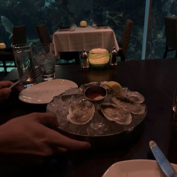 Chart House - oysters - Seafood Near Me - Las Vegas, Nevada Chart House - oysters - Seafood Near Me - Las Vegas, Nevada