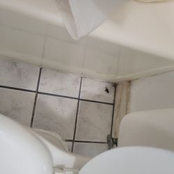 Hunter House Inn & Suites