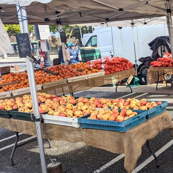 MOUNTAIN VIEW FARMERS’ MARKET - Updated February 2025 - 820 Photos