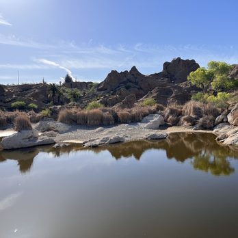 Boyce Thompson Arboretum - Botanical Gardens Near Me - Superior, Arizona