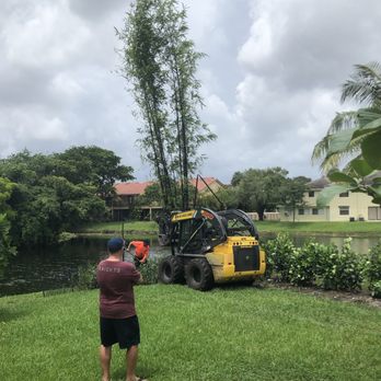 Bamboo And Orchid Gardens - The install! - Landscaping Near Me - Davie, Florida Bamboo And Orchid Gardens - The install! - Landscaping Near Me - Davie, Florida