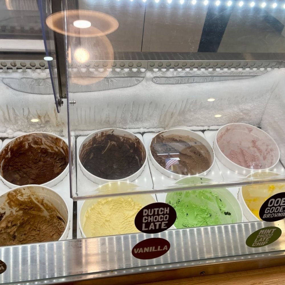 Orange Octopus Ice Cream - Batch of flavors to choose from - Ice Cream & Frozen Yogurt Near Me - Sarasota, Florida