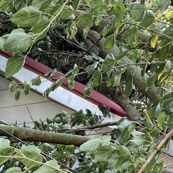 Higher Ground Tree Service - Tree Services Near Me - Kokomo, Indiana Higher Ground Tree Service - Tree Services Near Me - Kokomo, Indiana