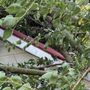 Photo of Higher Ground Tree Service