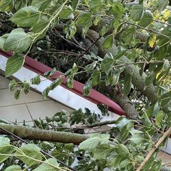 Higher Ground Tree Service