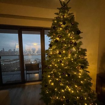 Kevin’s Tree Lot - Edgewater - Christmas Trees Near Me - Edgewater, New Jersey