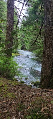 Brandywine Falls Provincial Park by null