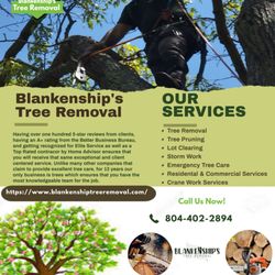 Blankenship's Tree Removal