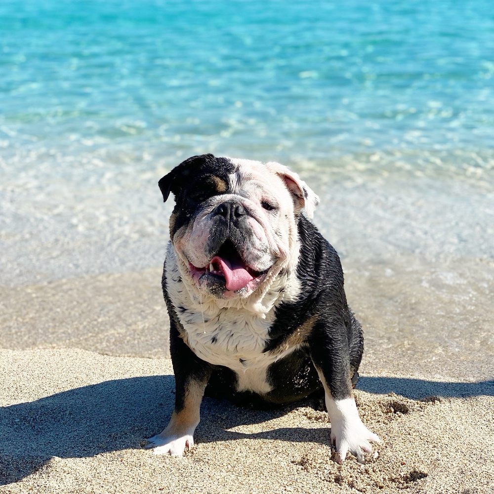 Family Travel Blog, image size:1000x1000