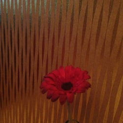 Chennai Spice - Lovin the wallpaper