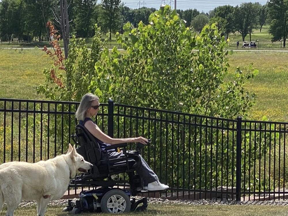 WHITE STONE KENNELS Updated August 2024 21 Photos & 10 Reviews St