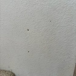 Holes in the wall in random places. Other walls had paint chipping off and dents.