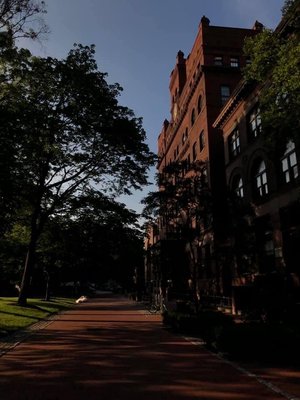 Pratt Institute by null