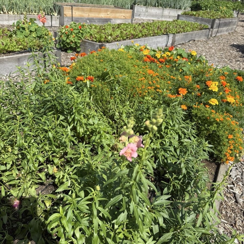 Nourish - Stone Bank garden outside of Nourish - Juice Bars & Smoothies Near Me - Oconomowoc, Wisconsin Nourish - Stone Bank garden outside of Nourish - Juice Bars & Smoothies Near Me - Oconomowoc, Wisconsin