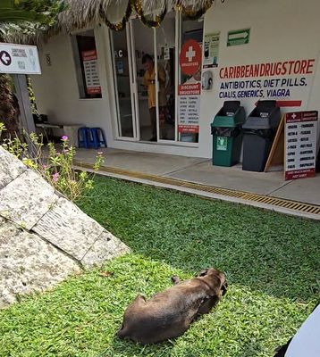 San Gervasio by null