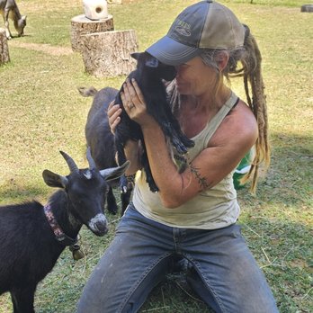 Comus Sky Farm - Resident campground host, Katie, with an unexpected arrival - newborn Dwarf Nigerian goat, Eden 6/2026 - with proud Mum, Sadie! - Dog Parks Near Me - Barnesville, Maryland