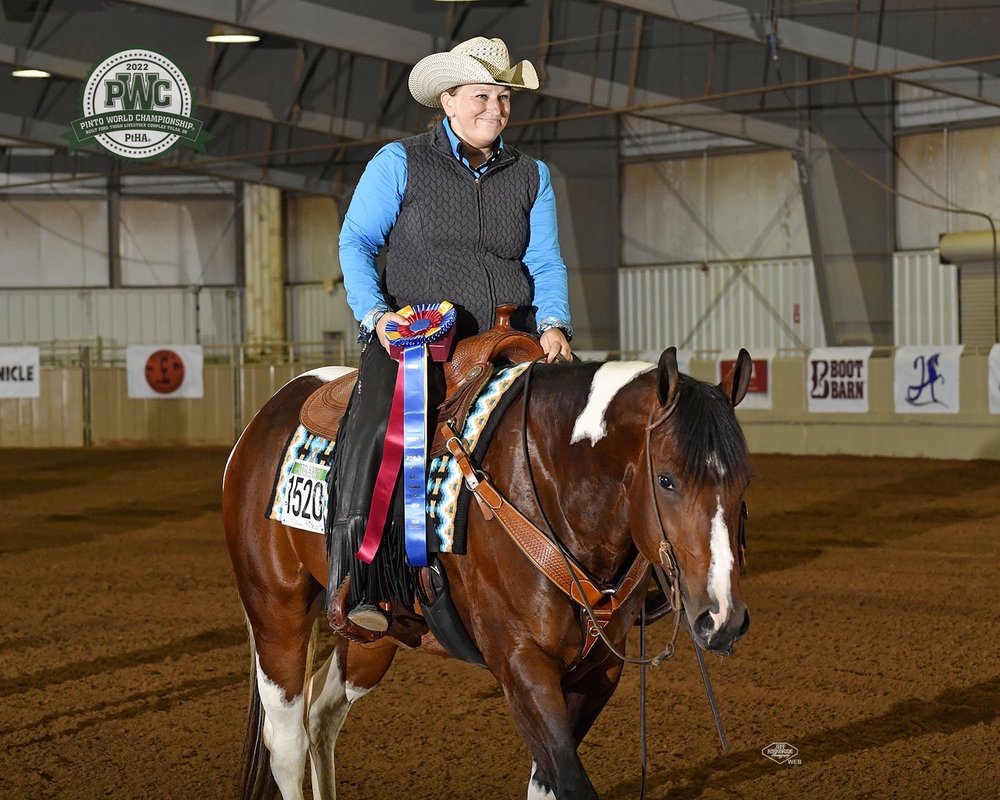 Audra Snyder Show Horses - equestrian in Noblesville, IN