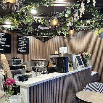 Cypress Garden Coffee - Inside - Coffee & Tea Near Me - Philadelphia, Pennsylvania Cypress Garden Coffee - Inside - Coffee & Tea Near Me - Philadelphia, Pennsylvania
