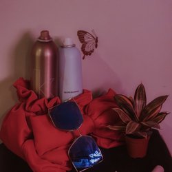 Studio Roe - Summertime glow up!! What's your favorite summer product?
