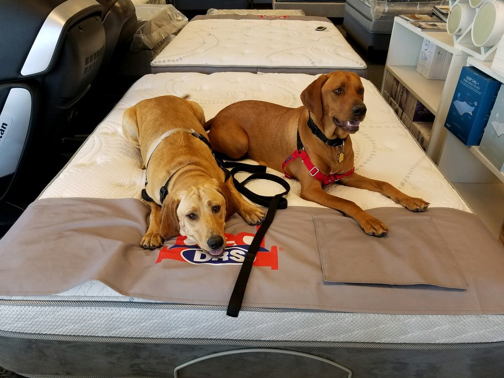 BED DRS 26 Photos & 38 Reviews 10869 N Scottsdale Rd, Scottsdale