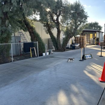 Golden Fresh Egg Ranch - Outside - some feline employees - Specialty Food Near Me - Fontana, California