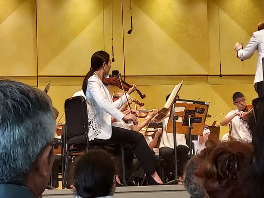 Ravinia Festival by null