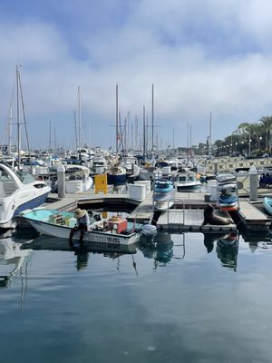 Marina Del Rey Marina by null