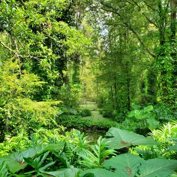 Eureka Springs Park - Parks Near Me - Tampa, Florida Eureka Springs Park - Parks Near Me - Tampa, Florida