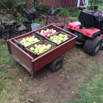 The Apple Place - Donuts Near Me - East Longmeadow, Massachusetts