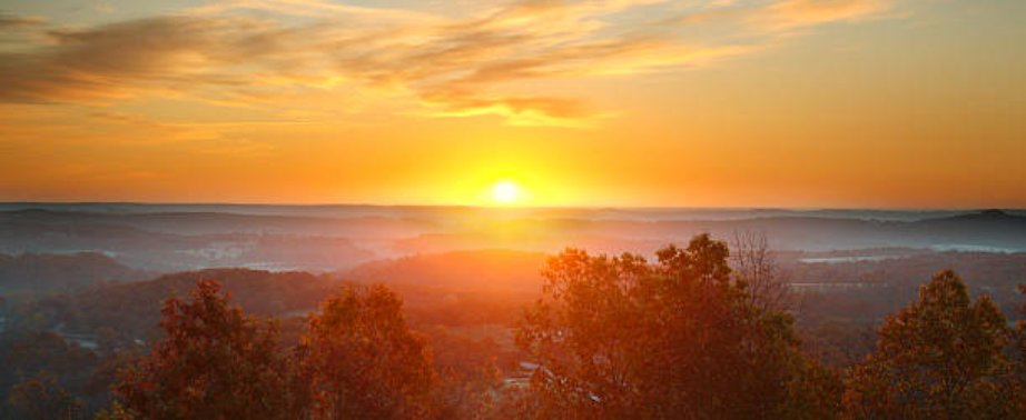 Slide of Roto-Rooter