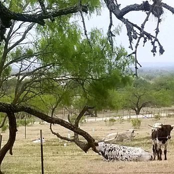 Fredericksburg Trade Days - Flea Markets Near Me - Fredericksburg, Texas