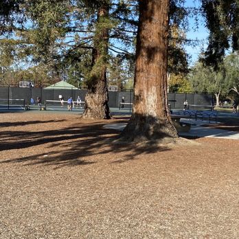 John Mise Park - Trees. - Parks Near Me - San Jose, California John Mise Park - Trees. - Parks Near Me - San Jose, California