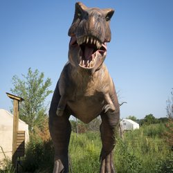 Field Station Dinosaurs - Stand next to the apex predator of the cretaceous period - The T-Rex!