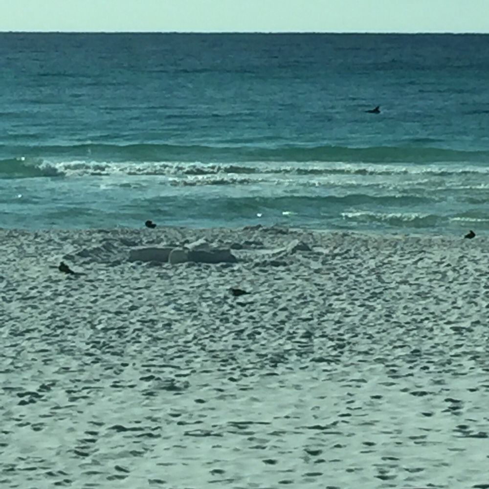 Camp Gulf - Campgrounds Near Me - Destin, Florida Camp Gulf - Campgrounds Near Me - Destin, Florida