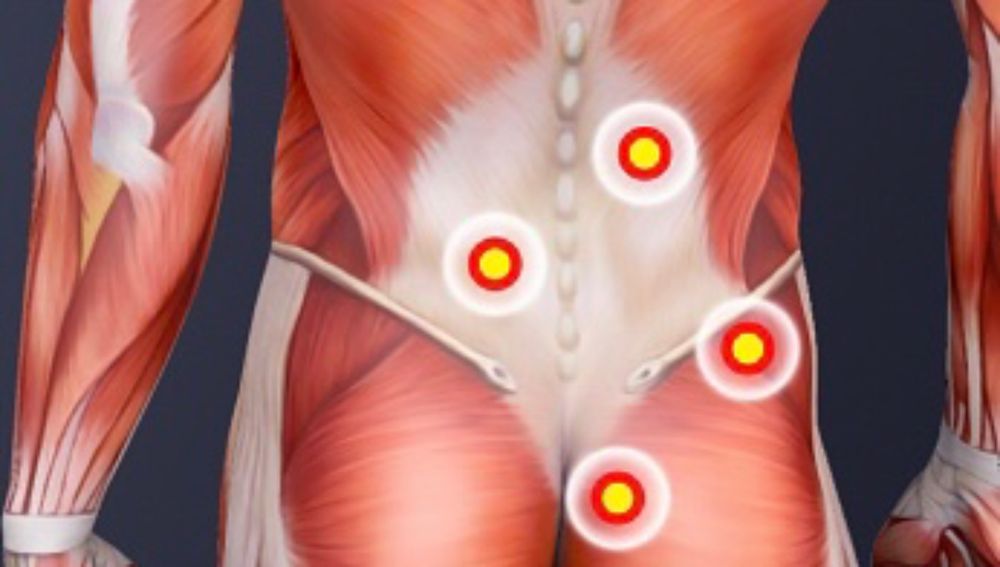 THE 30 MINUTE MUSCLE CLINIC Updated September 2024 Request an