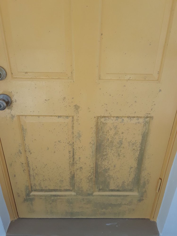 CMC MANAGEMENT Updated October 2024 12 Reviews 2994 Jog Rd