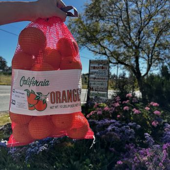 Farm Stand West, Fresh Produce, Pumpkin Patch, Christmas Trees - Delicious oranges during the spring - Fruits & Veggies Near Me - Escondido, California Farm Stand West, Fresh Produce, Pumpkin Patch, Christmas Trees - Delicious oranges during the spring - Fruits & Veggies Near Me - Escondido, California